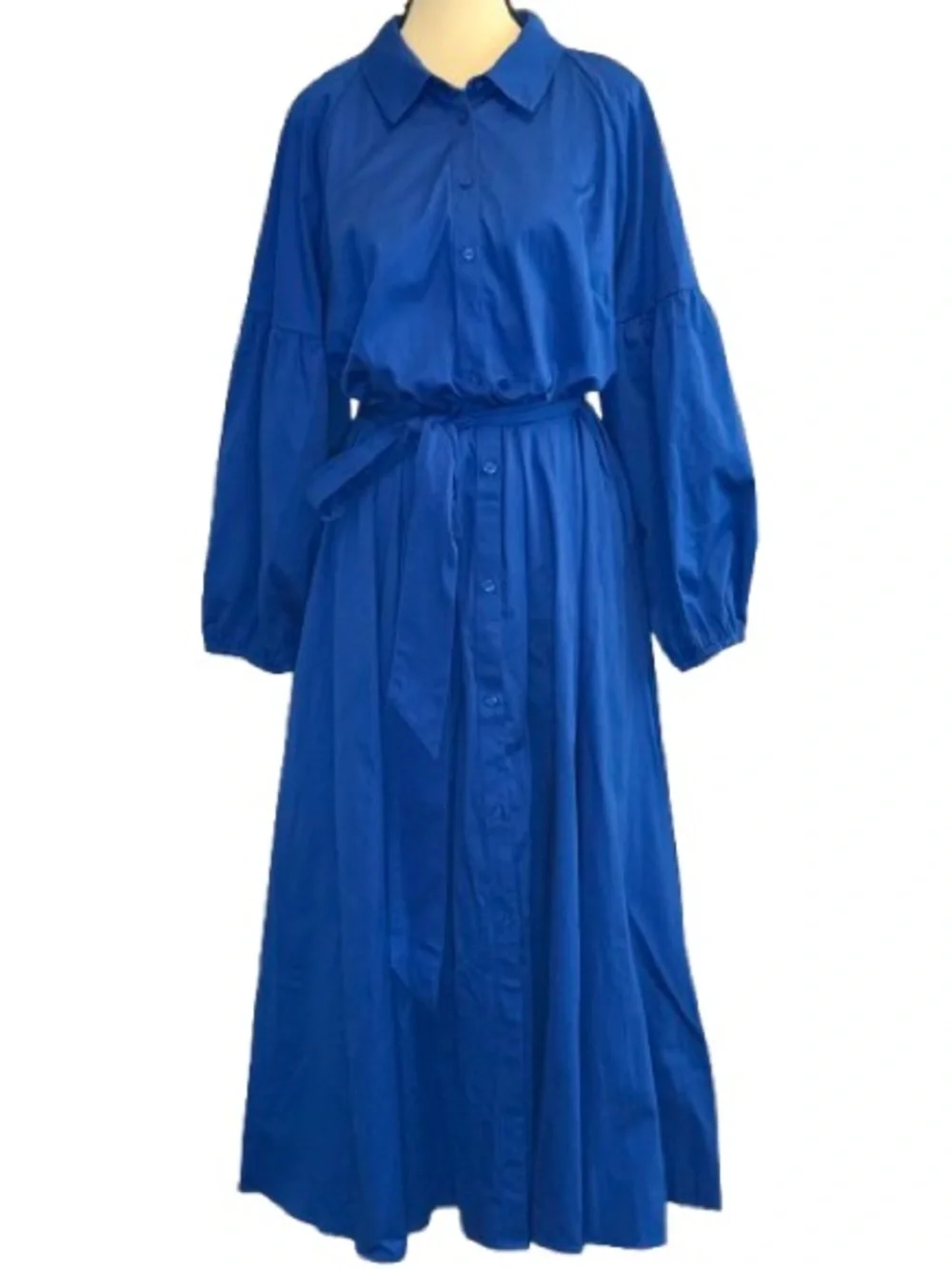 Kate Spade New York Stained Glass Blue Cotton Poplin Belted Maxi Shirt Dress XXL